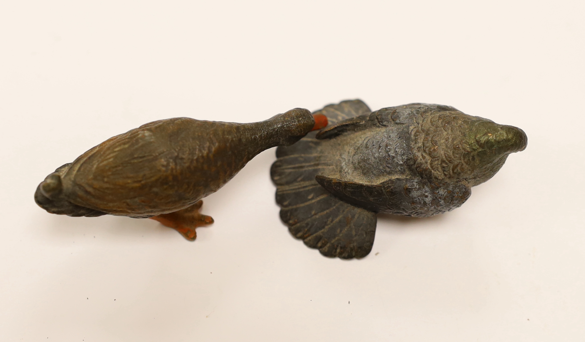 An Austrian cold painted model of a Duck and a Fan Tailed Pigeon, Duck 7cm wide